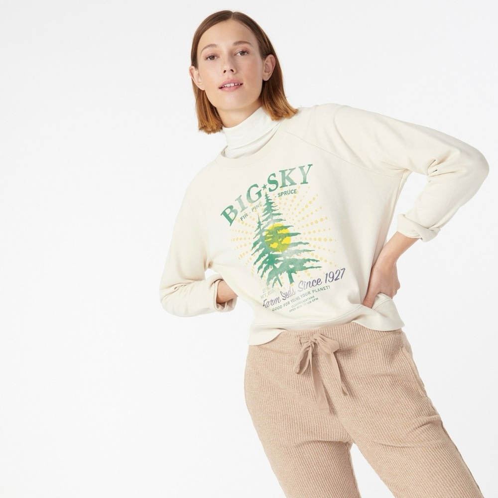 J. Crew Big Sky sweatshirt Size M